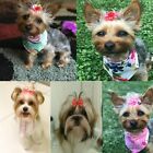 100PCS Pet Small Dog Hair Bows Rubber Bands Puppy Cat Grooming Accessory Set AU
