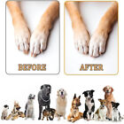 2PCS Dog Scratch Pad For Nails Dog Nail File Scratching Board Nail Grinders Tool