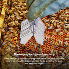 10pcs Queen Cage Clip Bee Catcher Beekeeper Beekeeping Tool Plastic Equipment AU