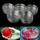40PCS Plastic Petri dishes with lid 90x15mm Pre-sterile Polystyrene New AU