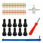 43pcs Car Tyre Valve Stem Puller Set Quick Remover Tire Repair Installation Tool