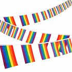 20x 5.5M Rainbow String Flag Gay LGBT Lesbian Pride Mardi Gras Party Banner Outd