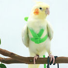 Adjustable Pet Parrot Bird Harness Lead Leash Flying Training Rope Cockatiel syd