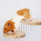 Hamster Parrot Play Stand Jump Platform Squirrel Cage Accessories Gear Pet Toy