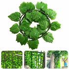 24x 2.2M Artificial Plant Ivy Vine Fake Foliage Flower Hanging Leaf Garland Part
