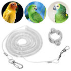 3M Bird Leash And Leg Ring Ultra-light Parrot Bird Harness Training Rope