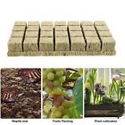 200PCS Grow Starter Rockwool Cubes Hydroponics Plant Net Cup Basket Aquaponic AU