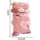 Willy Tinsel Curtain Rose Gold Metalic BackDrop 1m x 2m Hens Party Penis Decor