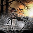 4Pcs Giant Spider Halloween Decoration Haunted House Prop Indoor Outdoor Party A