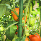 12/24PCS Stake Arms For Garden Tomato Cage Plant Growth Aid Support Plant Stem