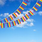 20PCS Rainbow String Flag Gay 5.5M +3x flag Lesbian Pride LGBT Mardi Gras Banner