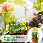 Half Round Garden Plant Vegetable Flower Support Stakes Sturdy Support Ring Cage