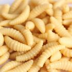 50/100pc Soft Rubber Maggot Grub Gent Fishing Bait Maggots Lure Fish Baits Lures