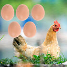 12x Plastic Fake Chicken Eggs Poultry Layer Coop Hatching Simulation Dummy Egg A