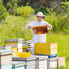 Bee Feeder Round Top Hive Bee Equipment Beekeeper Beekeeping Feeder Beehive Tool