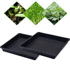 Seedling Tray Fine Hole Plant Propagation Seedling Hydroponic 42x42x5.5cm