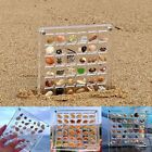 Acrylic Magnetic Seashell Display Box, 36/64/100Grids Seashell Display Organizer