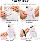 Adjustable Pet Parrot Bird Harness Lead Leash Flying Training Rope Cockatiel syd