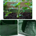 6 Grid Planting Grow Bag Fabric Raised Bed Garden Planter Vegetable Plant Box AU