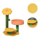 Cat Tree Climbing Frame Scratching Post Cat Nest Small Cat Activity Furniture
