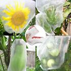 10/50PC Fruit Net Bags Agriculture Garden Vegetable Protection Mesh Insect Proof