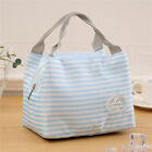 Portable Insulated Thermal Cooler Lunch Box Carry Tote Picnic Case Storage Bags