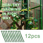 12/24PCS Stake Arms For Garden Tomato Cage Plant Growth Aid Support Plant Stem