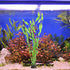 10/20PCS Artificial Plastic Water Grass Plants Fish Tank Decor Aquarium Ornament