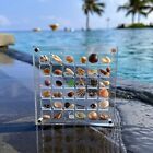 Acrylic Magnetic Seashell Display Box, 36/64/100Grids Seashell Display Organizer