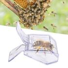 10pcs Queen Cage Clip Bee Catcher Beekeeper Beekeeping Tool Plastic Equipment AU