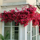 2X Silk Bougainvillea Branches Bougainvillea Artificial Flowers Iron Wire Stem