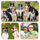 Bone Pet ID Tag Dog Puppy Name Tags Personalised Laser Engraved Etched Aluminium