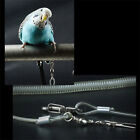3M Bird Leash And Leg Ring Ultra-light Parrot Bird Harness Training Rope