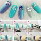 2 Sets Nail Art Sponge Stamping Brush Dual-head Colour Transfer Pen Gradient Paint AU