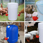 5PCS Automatic Chicken Water Cup Waterer Poultry Drinker Feeder Drinking Bowl
