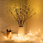 20 LED Twig Branch Fairy Light Flowers Tree Willow Night Lamp Home Xmas Decor AU