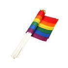20PCS Rainbow String Flag Gay 5.5M +3x flag Lesbian Pride LGBT Mardi Gras Banner