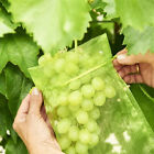 Fruit Net Bags Agriculture Garden Vegetable Protection Mesh Insect Proof