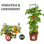 12/24PCS Stake Arms For Garden Tomato Cage Plant Growth Aid Support Plant Stem