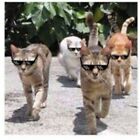 2PCS Chic MEME Deal IT Thug Life Attitude Stylish Glasses 8 Bit Pixel Sunglasses