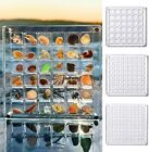 Acrylic Magnetic Seashell Display Box, 36/64/100Grids Seashell Display Organizer