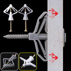 30PCS Toggle Cavity Fastener Dry Wall Anchors Drywall Anchor Plasterboard Screws