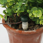 20X Automatic Watering Spikes System Houseplant Garden Plant Self-Watering Syste