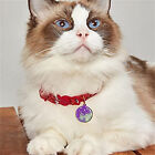 5x Dog Bone Cat Tag Pet Pendant Silicone Resin Molds +10pcs Keychain DIY Tool AU