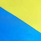 Pansexual Large Flag 90x150cm Trans Pride LGBT Lesbian Gay Rainbow Mardi Gras AU