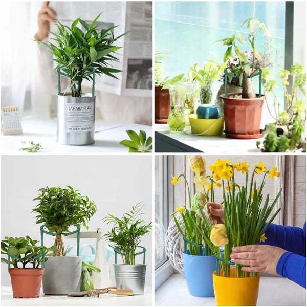 Half Round Garden Plant Vegetable Flower Support Stakes Sturdy Support Ring Cage