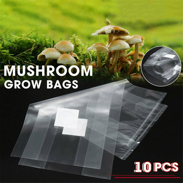Mushroom Grow Bag Grains Spawn Substrate High Temp Pre Sealable 50x25cm