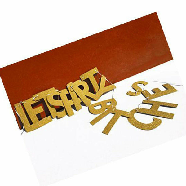 LET'S PARTY BITCHES Glitter Bunting Wedding Banner Hens Night Party A