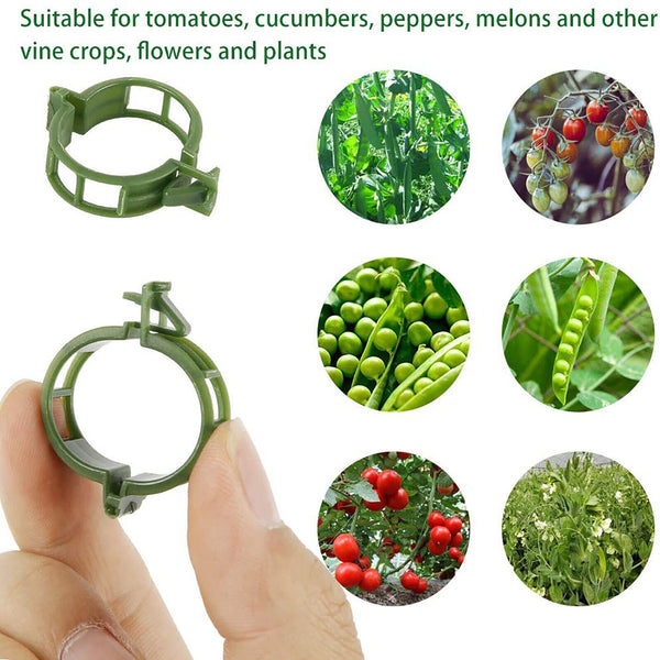 200PCS Tomato Greenhouse Ties Veggie Plant Support Clips Garden trellis Stake AU