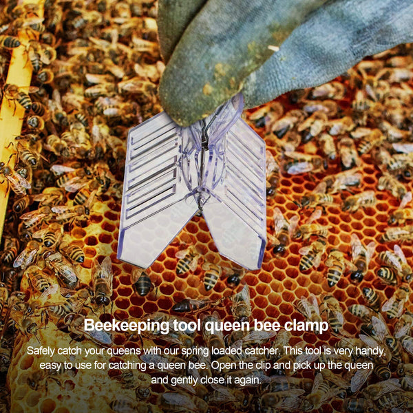 10pcs Queen Cage Clip Bee Catcher Beekeeper Beekeeping Tool Plastic Equipment AU